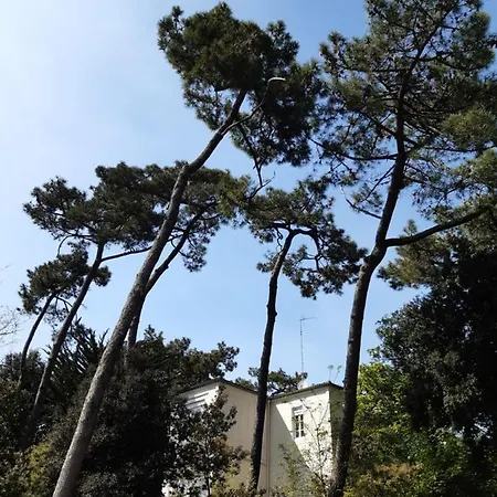 Appartement Ronce Les Bains